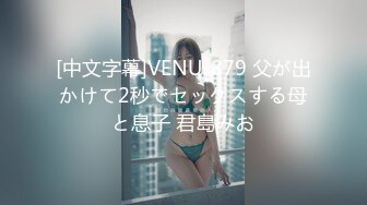 [中文字幕]VENU-879 父が出かけて2秒でセックスする母と息子 君島みお