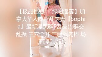 【极品性爱❤️绿帽淫妻】加拿大华人圈淫乱夫妻『Sophia』最新淫趴群P乱交③群交乱操 三穴全开 三骚战肉棒 场面淫乱 (5)