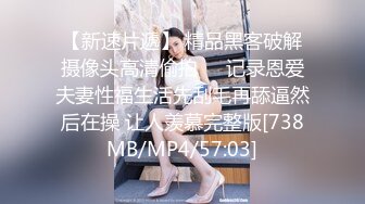 色情主播 延安安姐妹 (3)